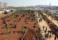 3 milyon 800 bin ağaç dikildi