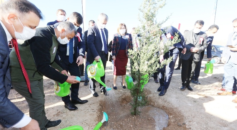 30 bin öğretmen adına 30 bin fidan