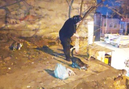 30 yıldır kendi imkanlarıyla sokak hayvanlarını besliyor