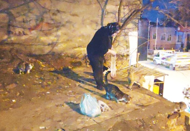 30 yıldır kendi imkanlarıyla sokak hayvanlarını besliyor