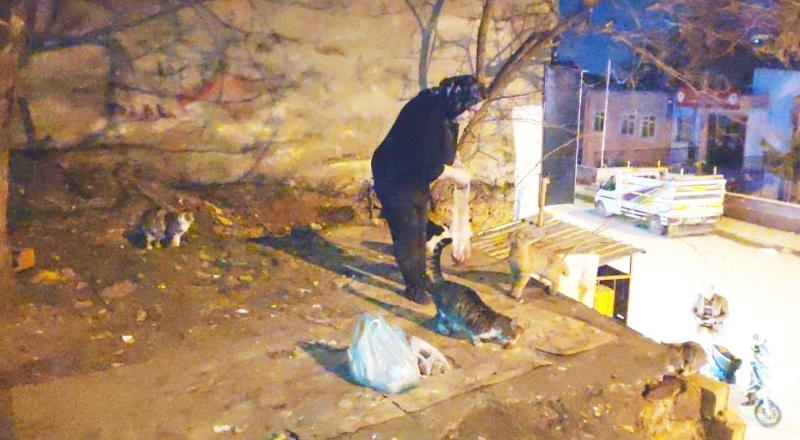 30 yıldır kendi imkanlarıyla sokak hayvanlarını besliyor