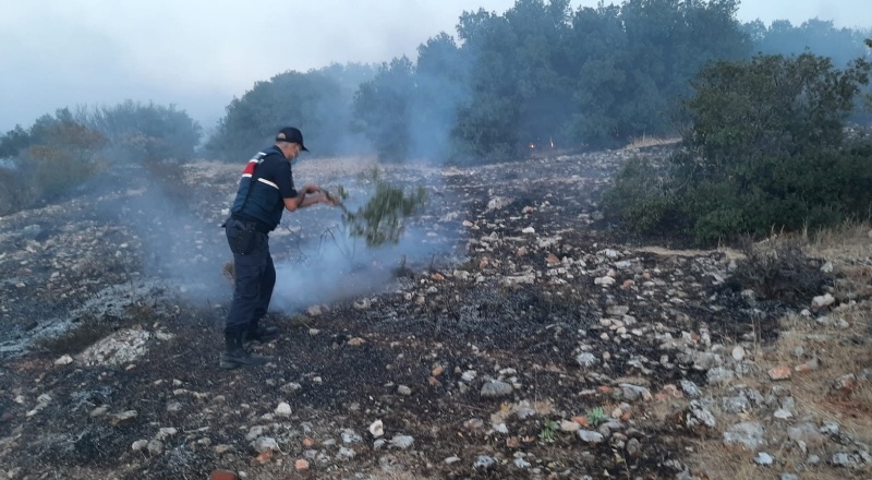 300 dönüm makilik alan kül oldu