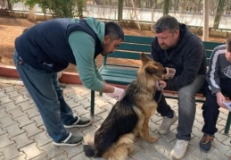 300’e yakın hayvan tedavi edildi