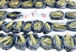 393 şüpheli gözaltına alındı, 27’si tutuklandı