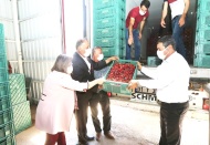 4 bin adet kiraz kasası dağıtıldı