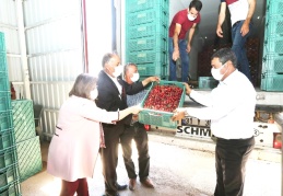 4 bin adet kiraz kasası dağıtıldı