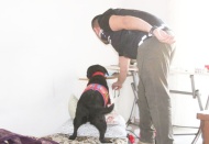 4 ilde uyuşturucu satıcılarına şafak operasyonu düzenlendi, 18 gözaltı