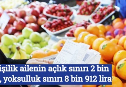4 kişilik ailenin açlık sınırı 2 bin 736, yoksulluk sınırı 8 bin 912 lira