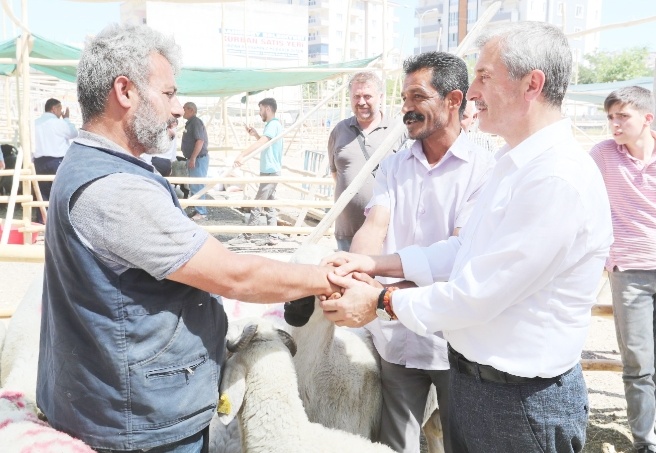 4 kurbanlık satış yeri, 15 kurban kesim noktası belirlendi