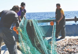 4 liraya alınan balıklar, tezgâhta 35 liraya satılıyor