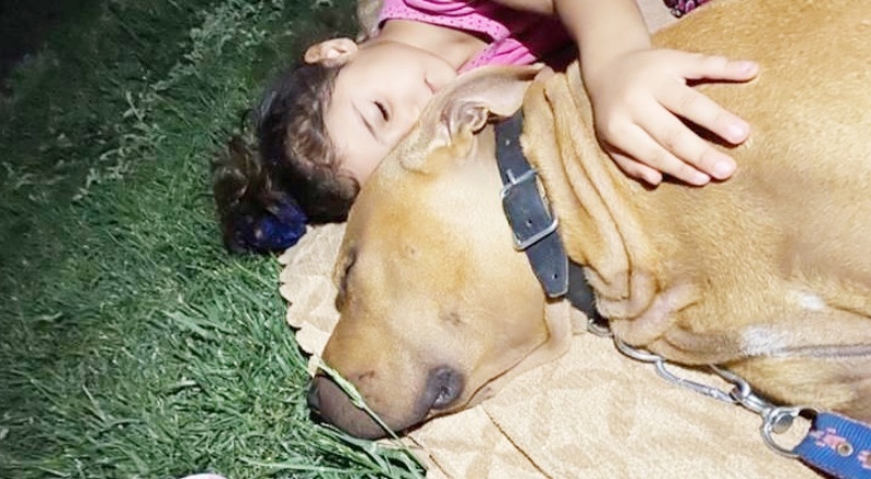 4 yaşındaki Asiye Ateş hayvanları çok seviyordu