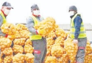 “40 bin ton patates ve 10 bin ton kuru soğan dağıttık”