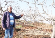 “40 yıldır çiftçiyim, yılın ilk ayında böyle kuraklık görmedim”