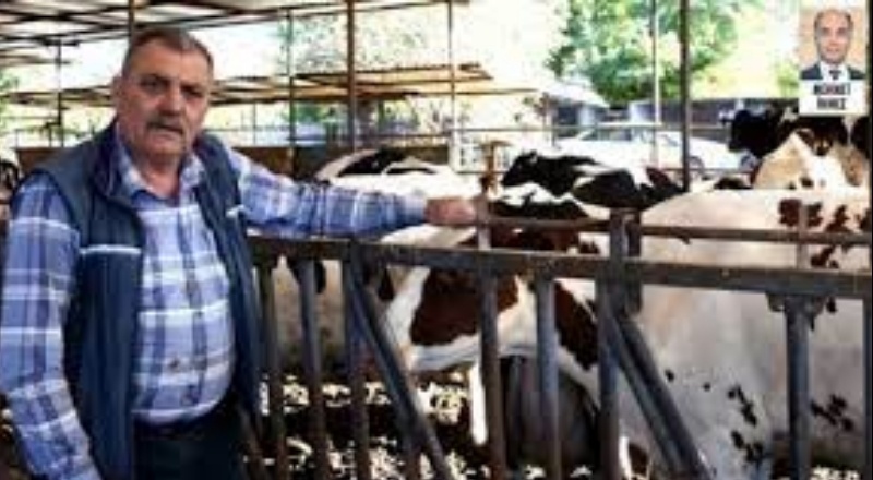 40 yıldır ilk kez bu tür kriz yaşanıyor