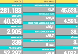 40.596 vaka, 2.905 hasta, 339 ölüm