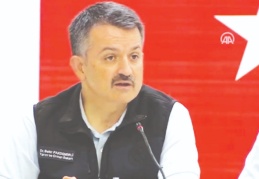 44 ilde 197 orman yangını çıktı, 185'i kontrol altına alındı