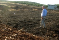 45 dönümlük arpa ekili alan kül oldu