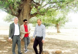 “5-6 asırlık meşe palamutları doğa turizmine kazandırılmalı”