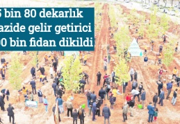 5 bin 80 dekarlık arazide gelir getirici 700 bin fidan dikildi