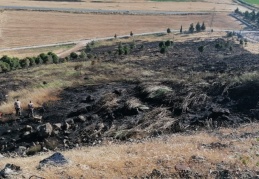 5 dönüm orman örtüsü zarar gördü