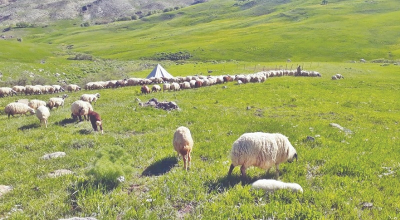 5. Zırhlı Tugay, neden 10 köyün mera alanına taşınmak isteniyor?