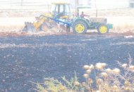 52 dönüm arazide ekili buğday ve arpa kül oldu