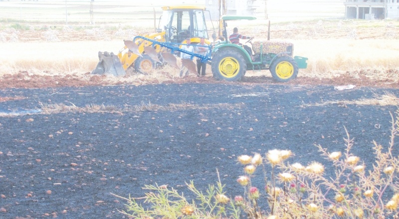 52 dönüm arazide ekili buğday ve arpa kül oldu