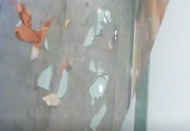 55 konut ve 74 işyerinin zarar gördü