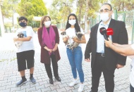 6 bin hayvan tedavi edildi