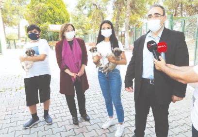 6 bin hayvan tedavi edildi