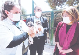 6 bin hayvan tedavi edildi