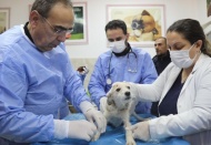 6 gün sonra göçük altından kurtarıldı