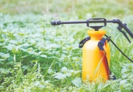 6 yılda 10 bin kişi tarım ilaçlarından zehirlendi, 43 kişi yaşamını yitirdi