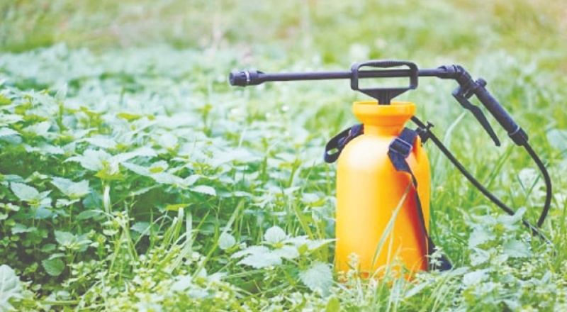 6 yılda 10 bin kişi tarım ilaçlarından zehirlendi, 43 kişi yaşamını yitirdi