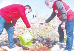 600 civarında fidan dikildi