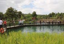 61 milyon ziyaretçi alan Milli Parklar 2022 yılında ziyaretçi rekoru kırdı