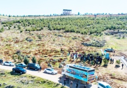 630 tane park yaptık