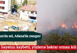 7 kişi hayatını kaybetti, yüzlerce hektar orman kül oldu