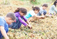 720 bin çocuk çalışmak zorunda bırakıldı