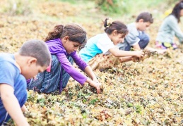 720 bin çocuk çalışmak zorunda bırakıldı