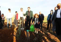 75 bin adet Gemlik ve Nizip yağlık zeytin fidanının 30 bini Nurdağı’nda dağıtıldı