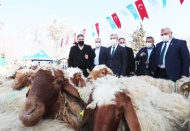 75 milyon metrekare mera alanı gübrelendi