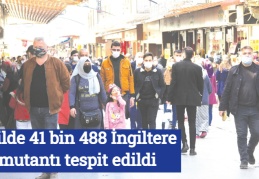 76 ilde 41 bin 488 İngiltere mutantı tespit edildi