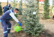 “78 ilimizde 50 milyon metrekare 278 millet bahçesi yapıyoruz”