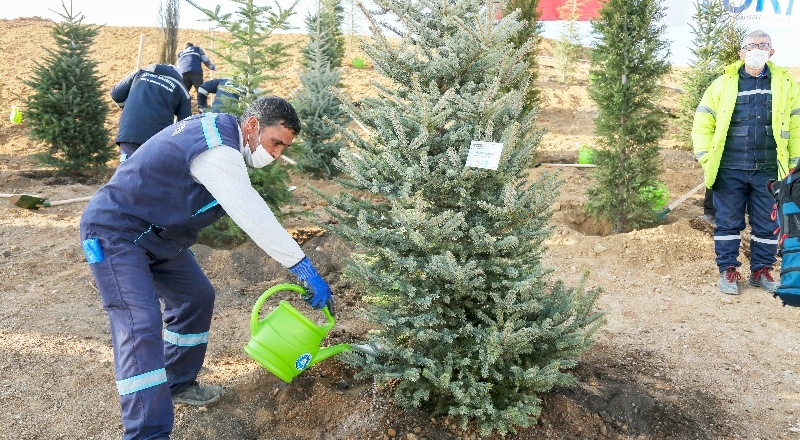 “78 ilimizde 50 milyon metrekare 278 millet bahçesi yapıyoruz”