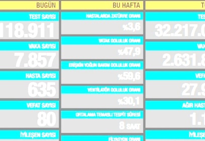 7.857 vaka, 635 hasta, 80 ölüm