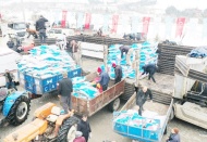 8 bin ton küçük ve büyükbaş hayvan yemi dağıtımı yapıldı