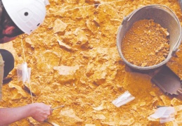 800 bin yıllık insan kalıntısının cinsiyeti yeniden saptandı