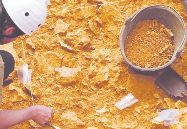 800 bin yıllık insan kalıntısının cinsiyeti yeniden saptandı
