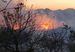 800 ev tahliye edildi, 200 hektardan fazla ormanlık alan kül oldu